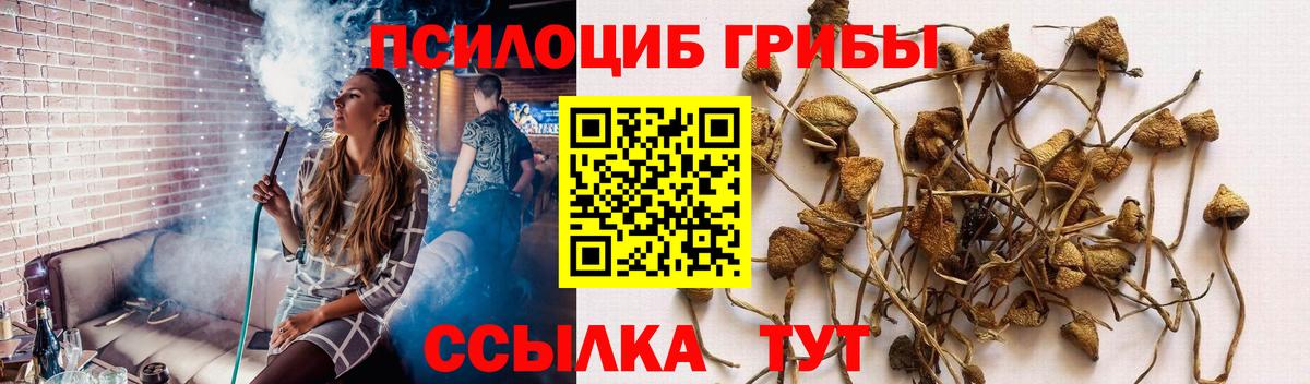 Югорск  Галлюциногенные грибы ЛСД  Вход с VPN  Псилоцибиновые грибы мицелий 